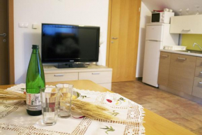 Apartma Pegaz Rogaška Slatina